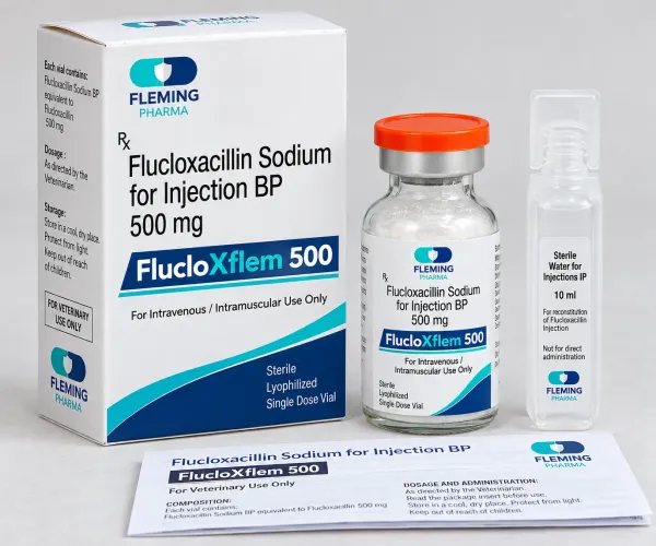 Flucloxacillin 500mg Injection